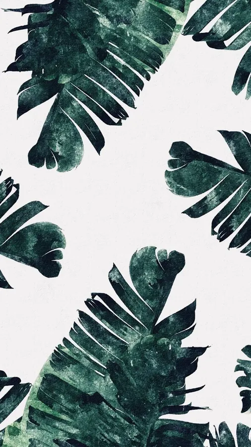 Cute Leaves