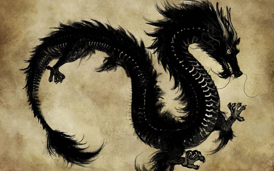 Download Black Eastern Dragon Wallpaper | Wallpapers.com