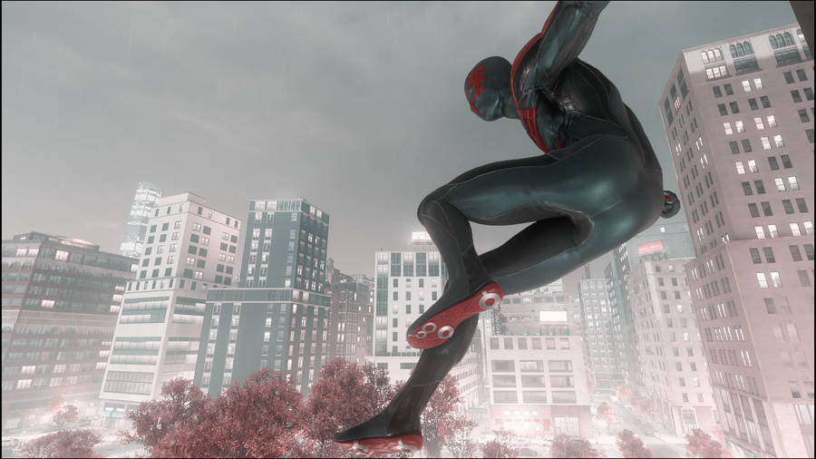 Download Black Spiderman In Nyc Wallpaper | Wallpapers.com