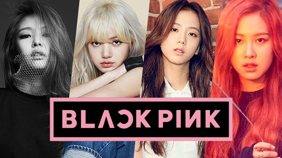 Download Blackpink Members Banners With Logo Wallpaper Wallpapers Com