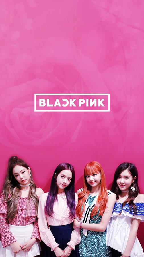 Download Blackpink On Pink Rose Wall Wallpaper Wallpapers Com