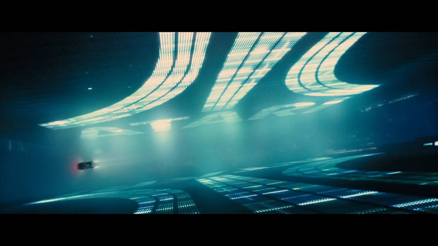 Download Blade Runner 49 Wallpaper Wallpaper Wallpapers Com