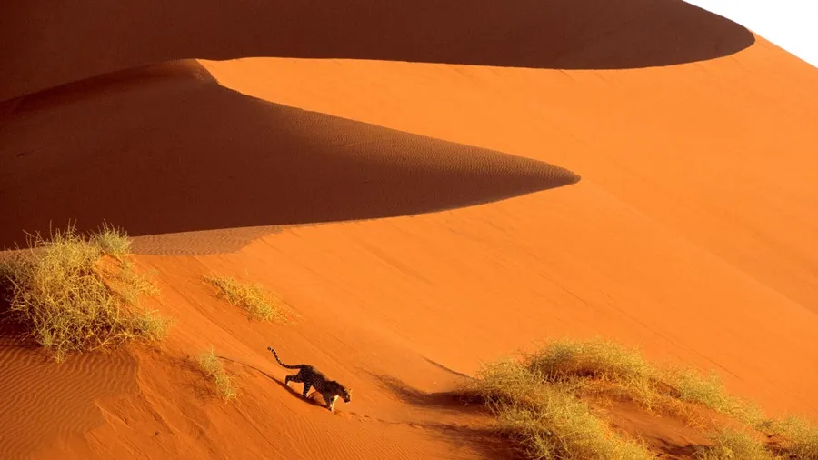 Sossusvlei Namibia wallpaper