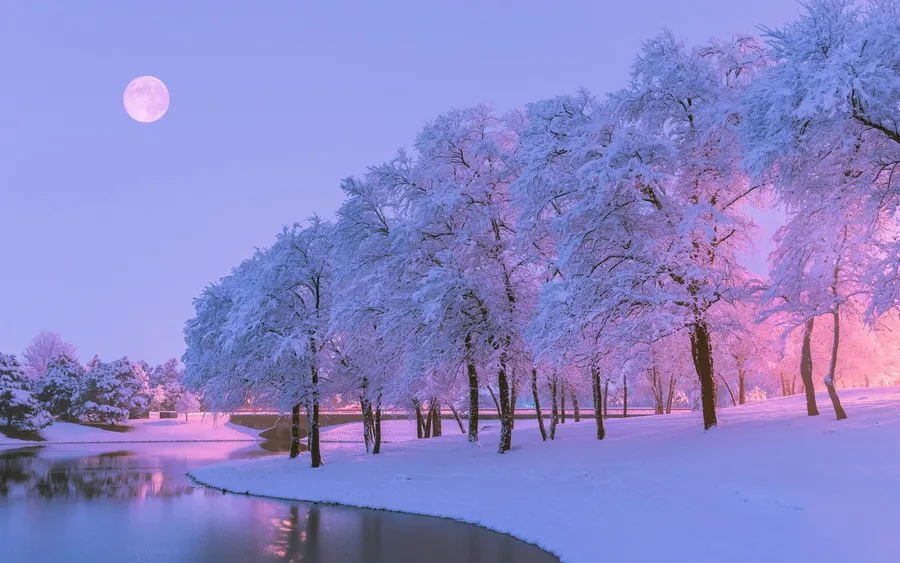 Mellow Snow Aesthetic wallpaper