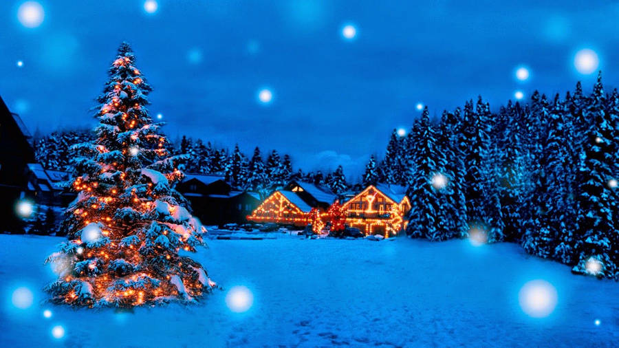 Download Blue And Yellow Christmas Wallpaper Wallpapers Com