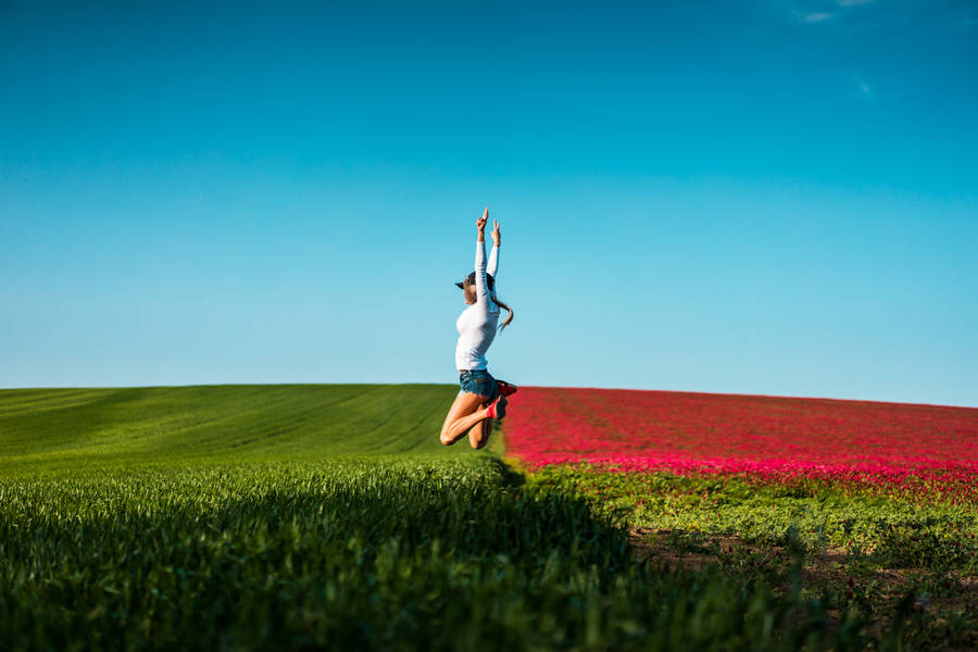 Download Happy Woman Jumping in the Air FREE Stock Photo