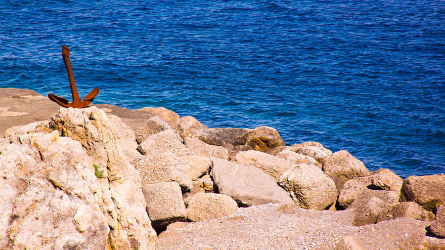 VidaEterna papel de parede 1920 x 1080