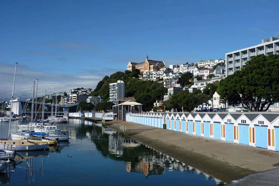 Cais de Wellington com Casas de Barco e Iates