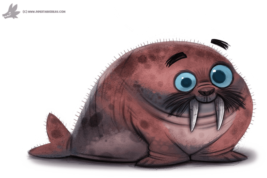 Cute Cartoon Walrus