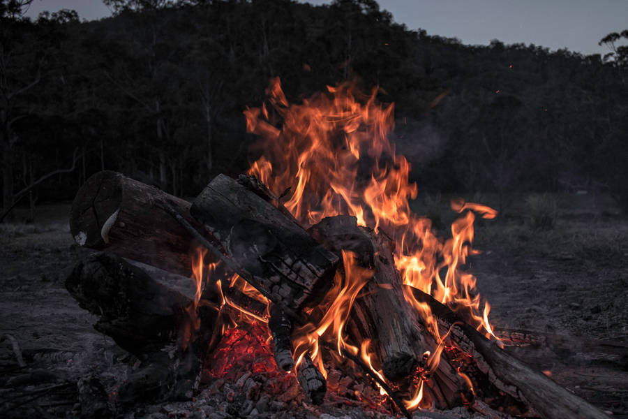 bonfire during daytime