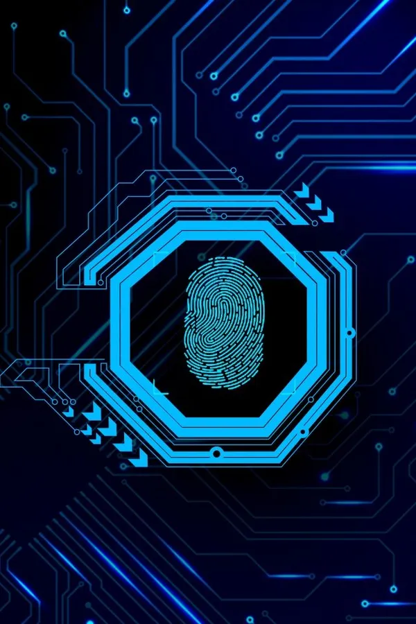 Data Fingerprint System