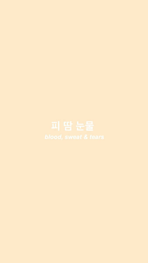 Download Bright Aesthetic Beige Bts Wallpaper | Wallpapers.com