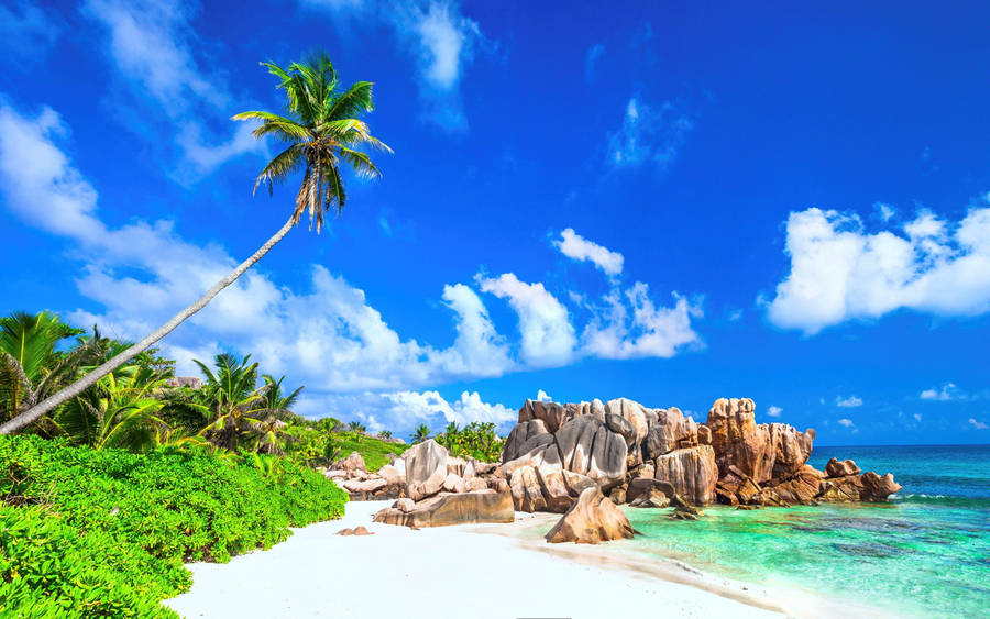 Download Bright Summer Beach Wallpaper | Wallpapers.com