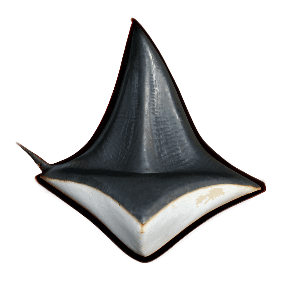 Shark Fin Graphic PNG sws