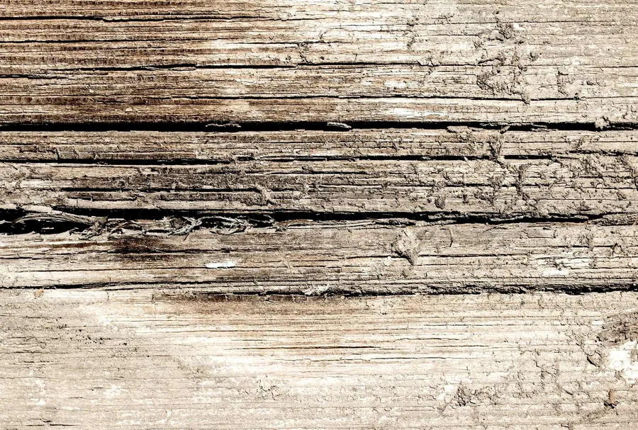 Wood Panel Background