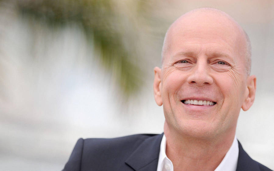 Download Bruce Willis Cannes Festival Wallpaper | Wallpapers.com