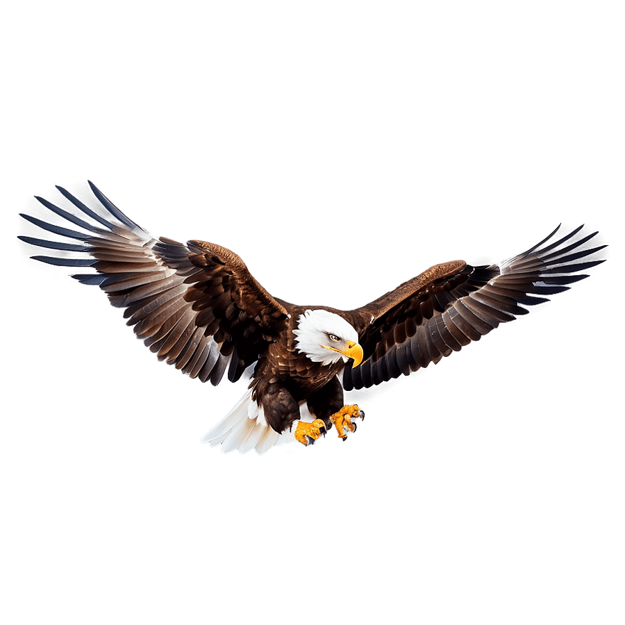 Vintage Eagles PNG 05062024