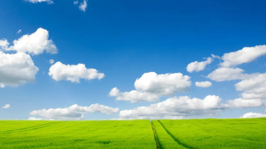 Google Calendar Background