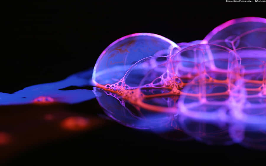 Bubble Background