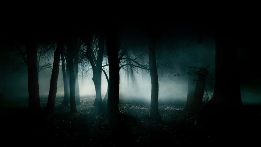 Leombre spaventose riempiono le Foreste Infestate.