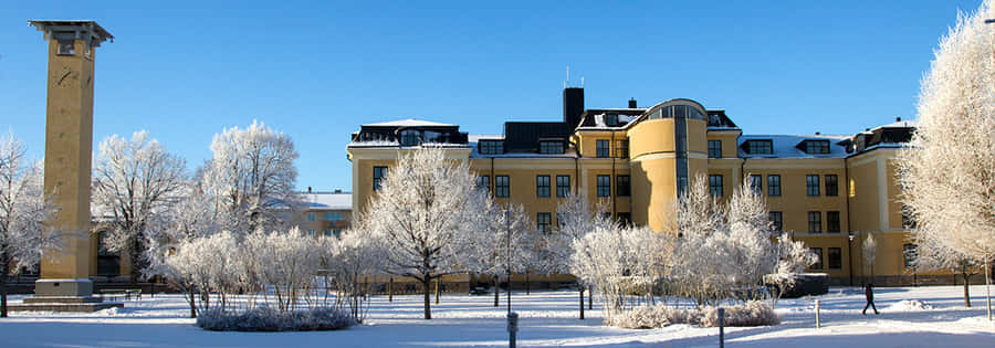 Skövde Schweden Winterlandschaft