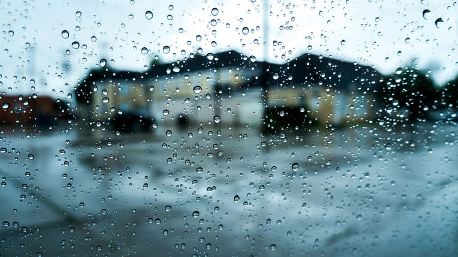 Nydden rolige skønhed af den faldende regn.