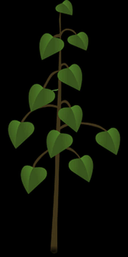 Heart Shaped Leaves Plant Illustration