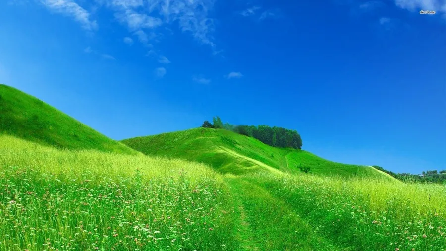 Hill background