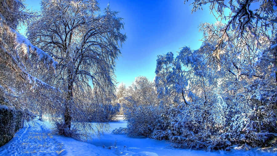 WinterBlues 1920 x 1080 Hintergrundbild