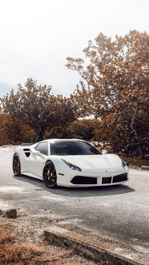 Tagvejen med en hvid Ferrari iPhone i hånden.