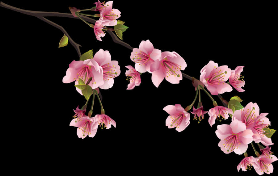 Cherry Blossom Chinese Flowers, HD Png Download