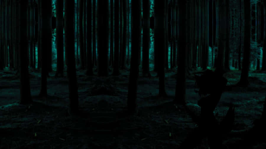Uraltemoosbedeckte Mammutbäume in dunkelgrünem Wald.
