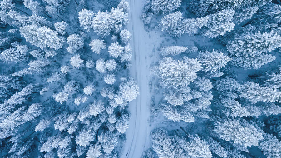 WinterHintergrund