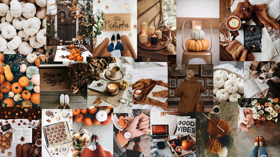 Herfst Junk Collectie