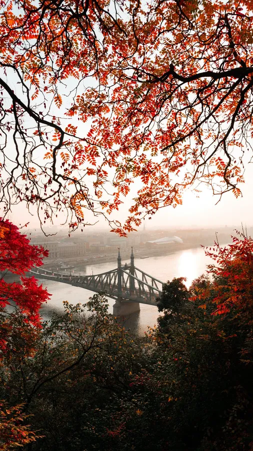 Early Fall