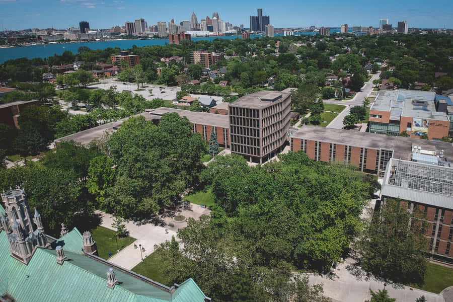 Vista do Skyline de Windsor