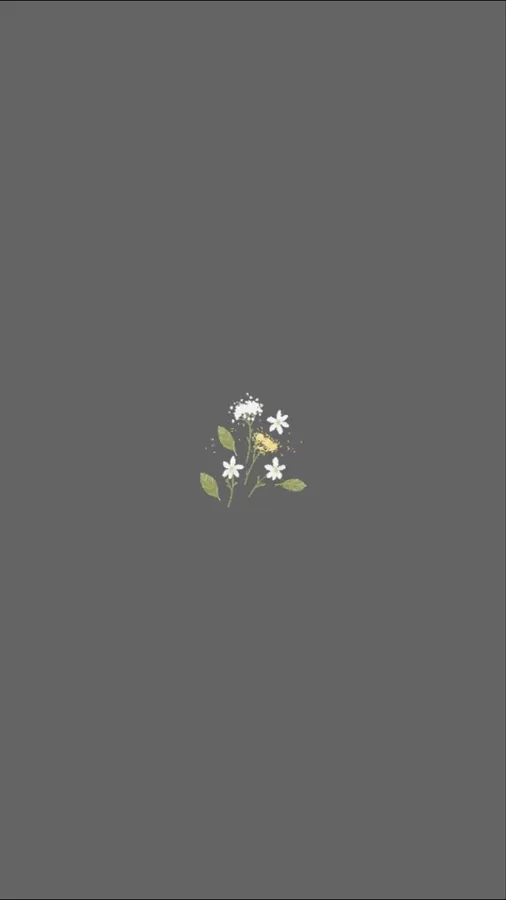 Minimalist Gray