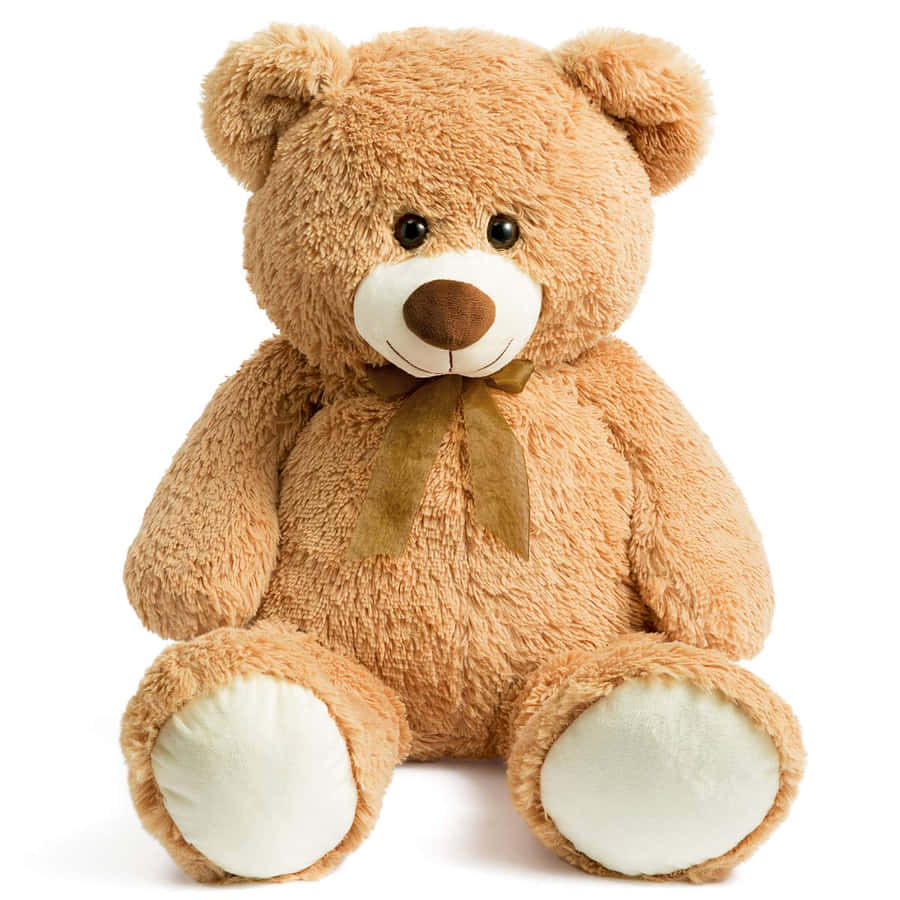Envenlig teddybjørnsmile