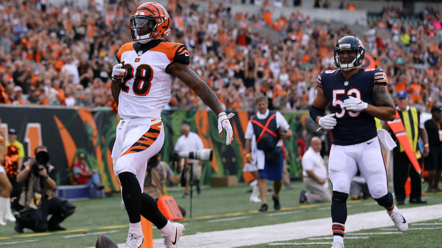 JoeMixon