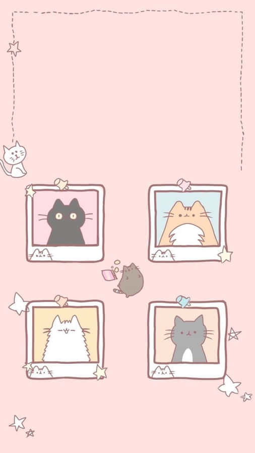 Pastell Katzen Polaroids Ästhetik