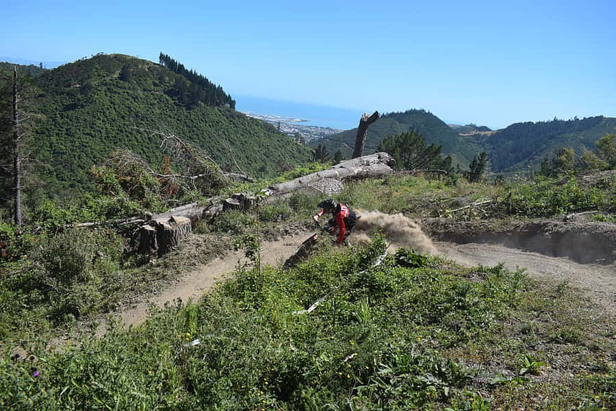 Aventura em Trilha de Mountain Bike