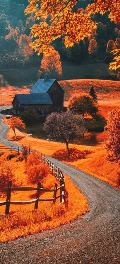 Beautiful Fall Iphone