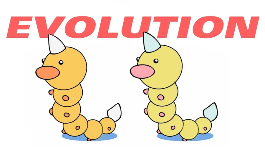 Weedle Evolution Graphic