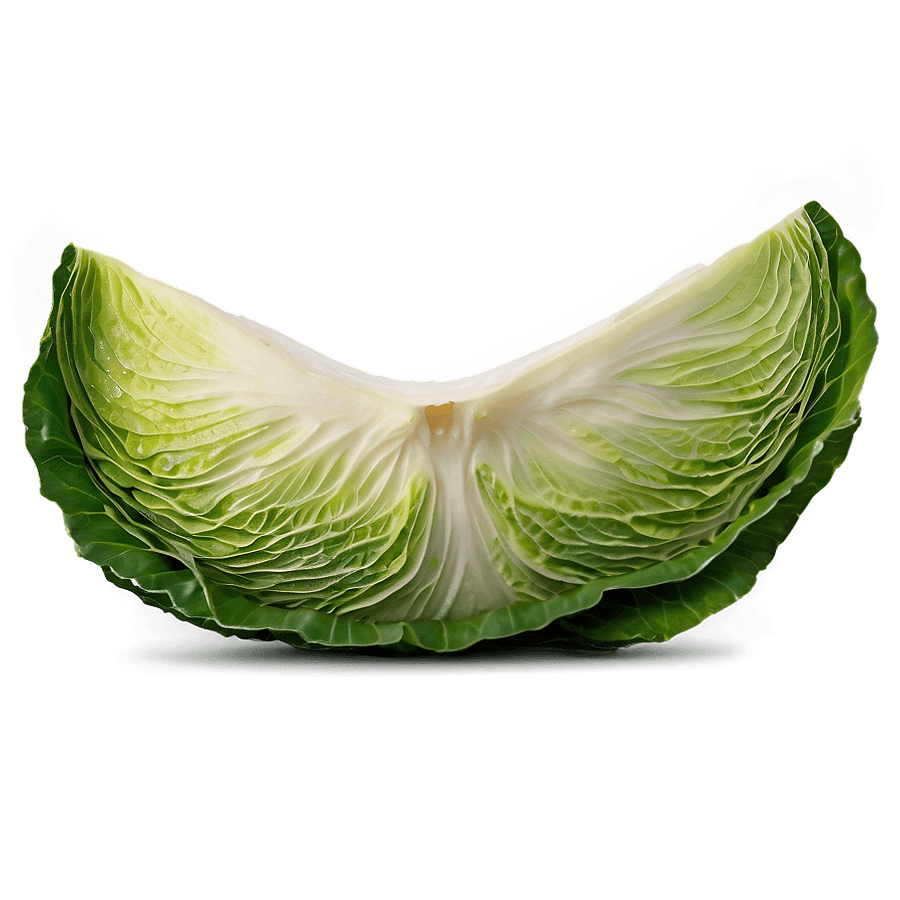 cabbage b