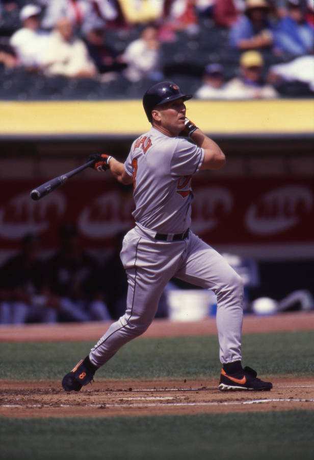 Download Cal Ripken Jr Batting Wallpaper