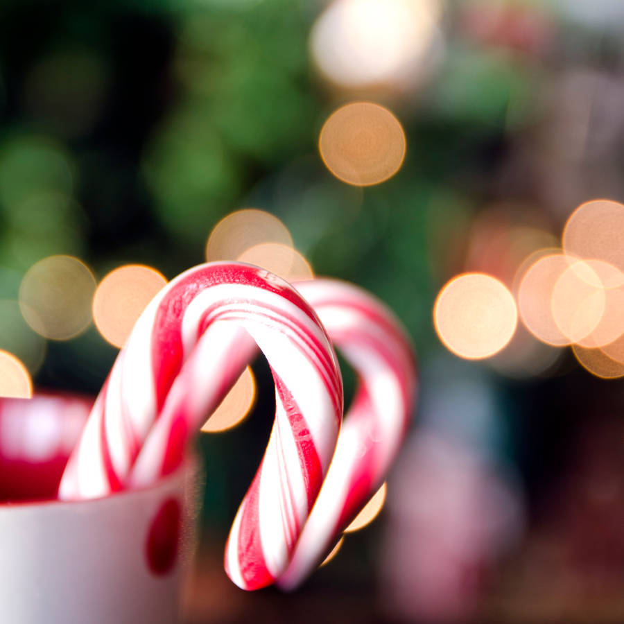 Download Candy Cane Christmas Lights Wallpaper | Wallpapers.com