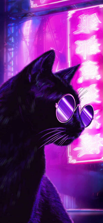 Download Cat With Glasses Neon Purple Iphone Wallpaper | Wallpapers.com