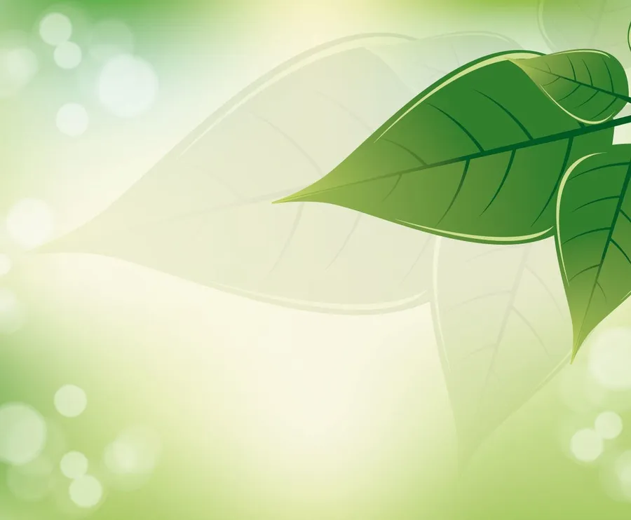 leafy Background