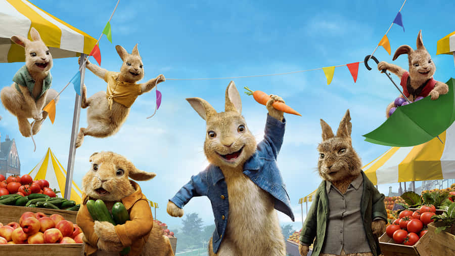 Peter Hase Freunde Abenteuerlicher Ausflug