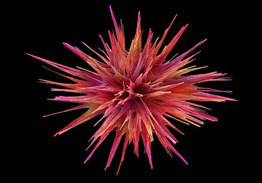 Imagemde Cristais Microscópicos de Loperamida